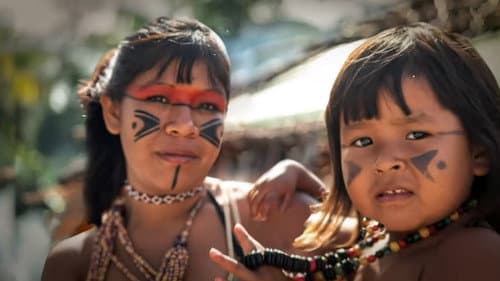 Amazônia: Entre a Vida e a Morte Bild 1