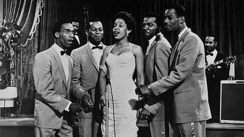 Rock All Night Bild 3