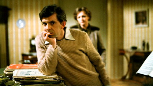 Tažní ptáci Bild 2