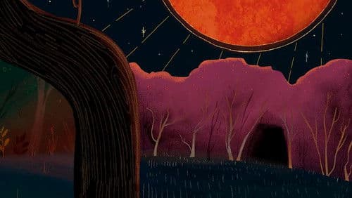 The Wolf of Custer Bild 6