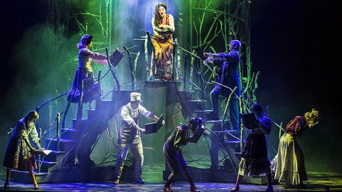 Sprookjessprokkelaar De Musical Bild 4