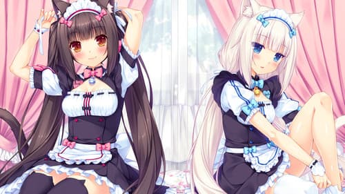 Nekopara OVA Bild 1