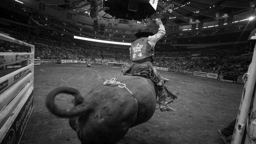 8 Seconds - Tödlicher Ehrgeiz Bild 1