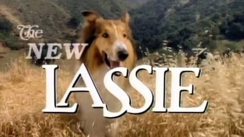 Lassie Bild 2