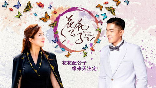 Mister Flower Bild 1