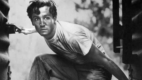 Schrei des Gejagten Bild 1