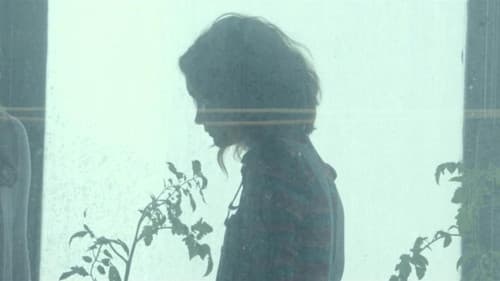 Ich und Earl und das Mädchen Bild 4