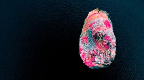 Shadows of Youth Bild 2