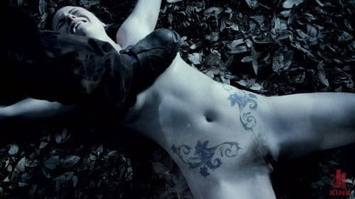 DECEPTION: A Fantasy Feature Bild 5