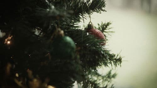 Die by the Schtick Bild 1