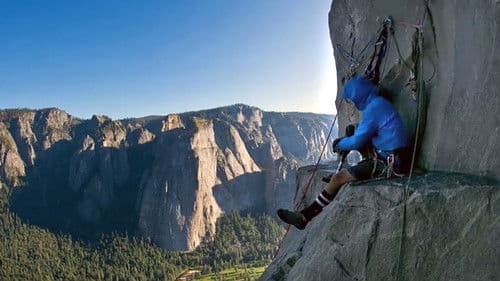 The Gimp Monkeys Bild 1