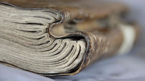 The Beauty of Books Bild 2