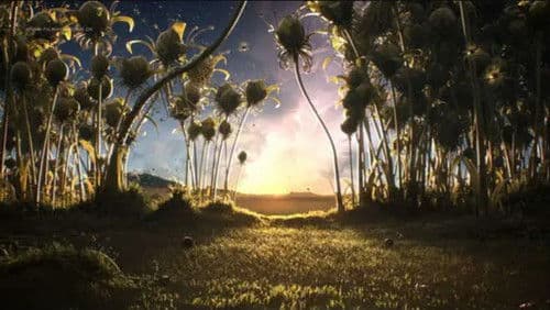 The Rise and Fall of Globosome Bild 1