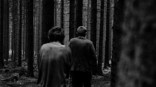 Démanty noci Bild 2