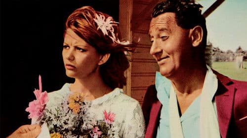 Bello, onesto, emigrato Australia sposerebbe compaesana illibata Bild 1