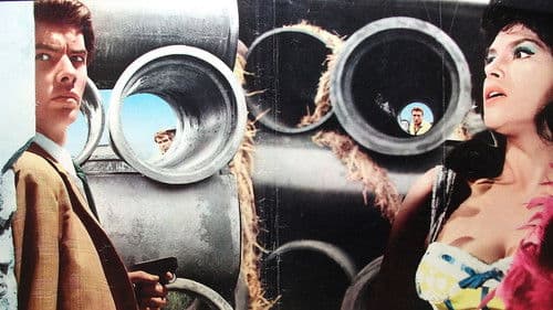 K.O. va e uccidi Bild 1