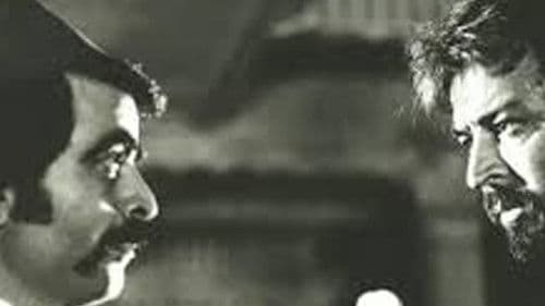 پلنگ در شب Bild 1