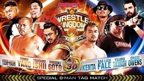 NJPW Wrestle Kingdom 14: Night 1 Bild 5