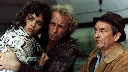 Zwei Kamele auf einem Pferd Bild 4