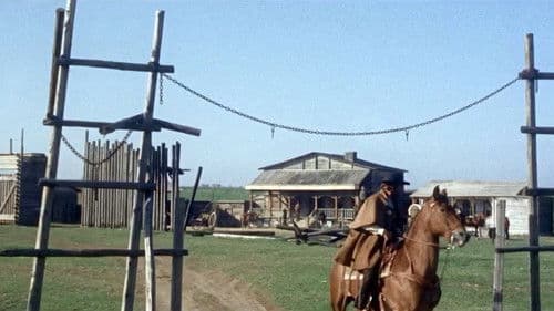 Django – Kreuze im blutigen Sand Bild 5