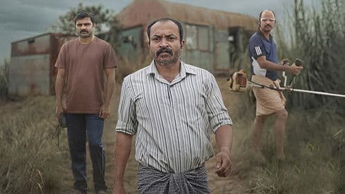 ഇലവീഴാപൂഞ്ചിറ Bild 3