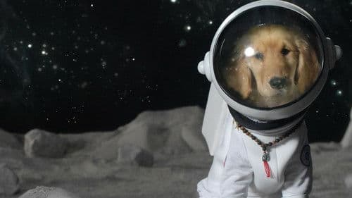 Space Buddies - Mission im Weltraum Bild 3