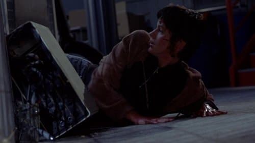 Der Tod kommt auf vier Pfoten Bild 4