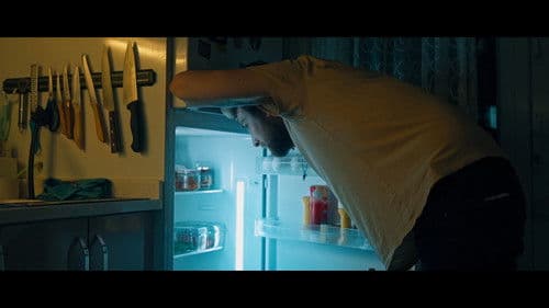 Hamam Böceği Bild 4