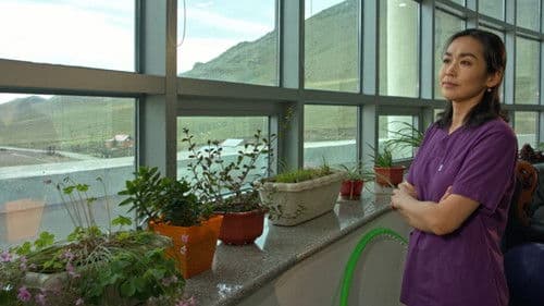 The Gladiolus, Ild Tsetseg Bild 5