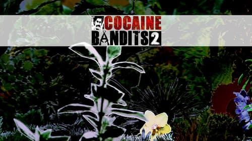 Cocaine Bandits 2 - Die Sünden meines Vaters Bild 3