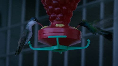 En algún lugar dentro de mí Bild 4