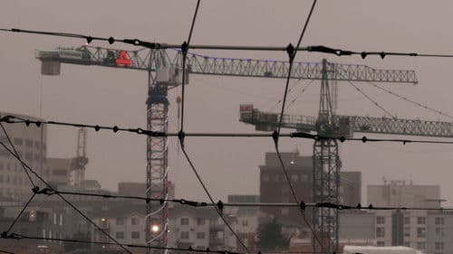 Sea of Cranes Bild 1