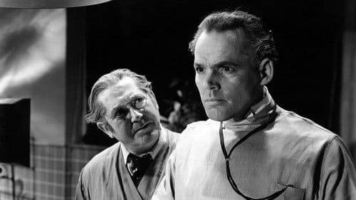 Der Werwolf von London Bild 6