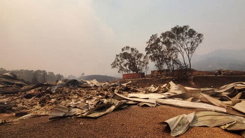 Desynchronized Bild 3