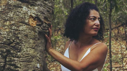 Partes de Mim que Esqueci Bild 2