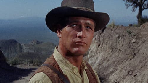 Man nannte ihn Hombre Bild 6