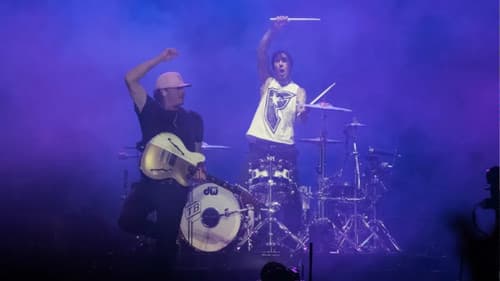 blink-182: Live at Lollapalooza Bild 5