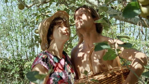 Diários de Otsoga Bild 2