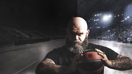 Back to Basketball Bild 1