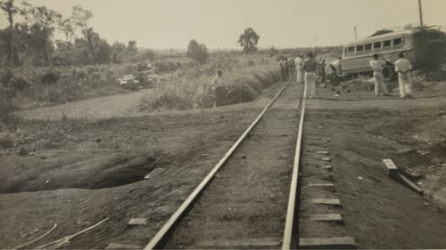 INTERVENÇÕES E INTERFERÊNCIAS Bild 3