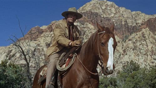 Der große Schweiger Bild 7