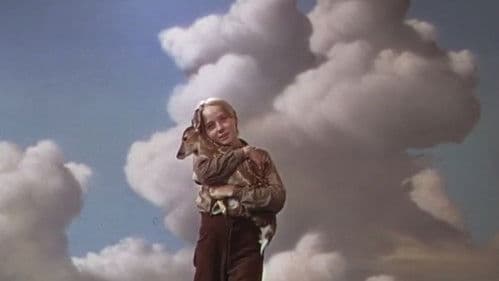 Die Wildnis ruft Bild 4