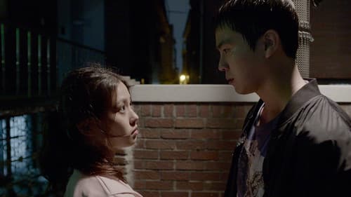 세트플레이 Bild 4