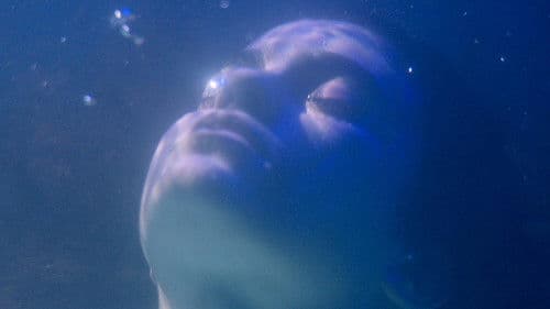 Ainda Não é Amanhã Bild 3