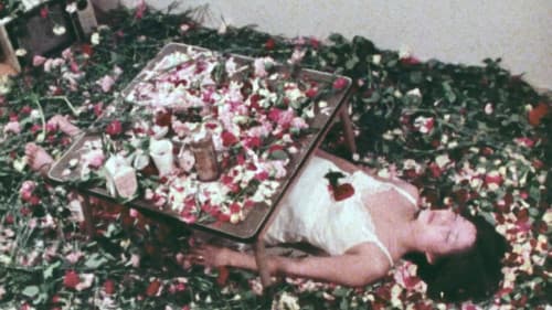 風たちの午後 Bild 1