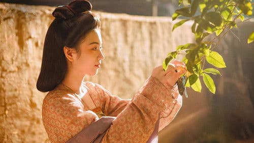 长安的荔枝 Bild 7