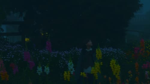 O Bosque dos Sonâmbulos Bild 3