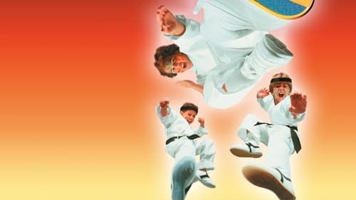 3 Ninjas Fight & Fury Bild 1