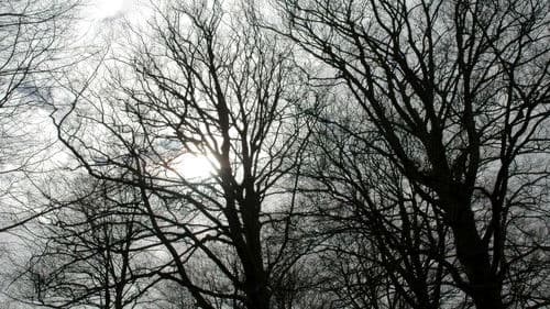 Tales from the Darkside Bild 1