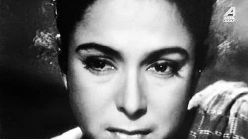 ডাইনী Bild 4